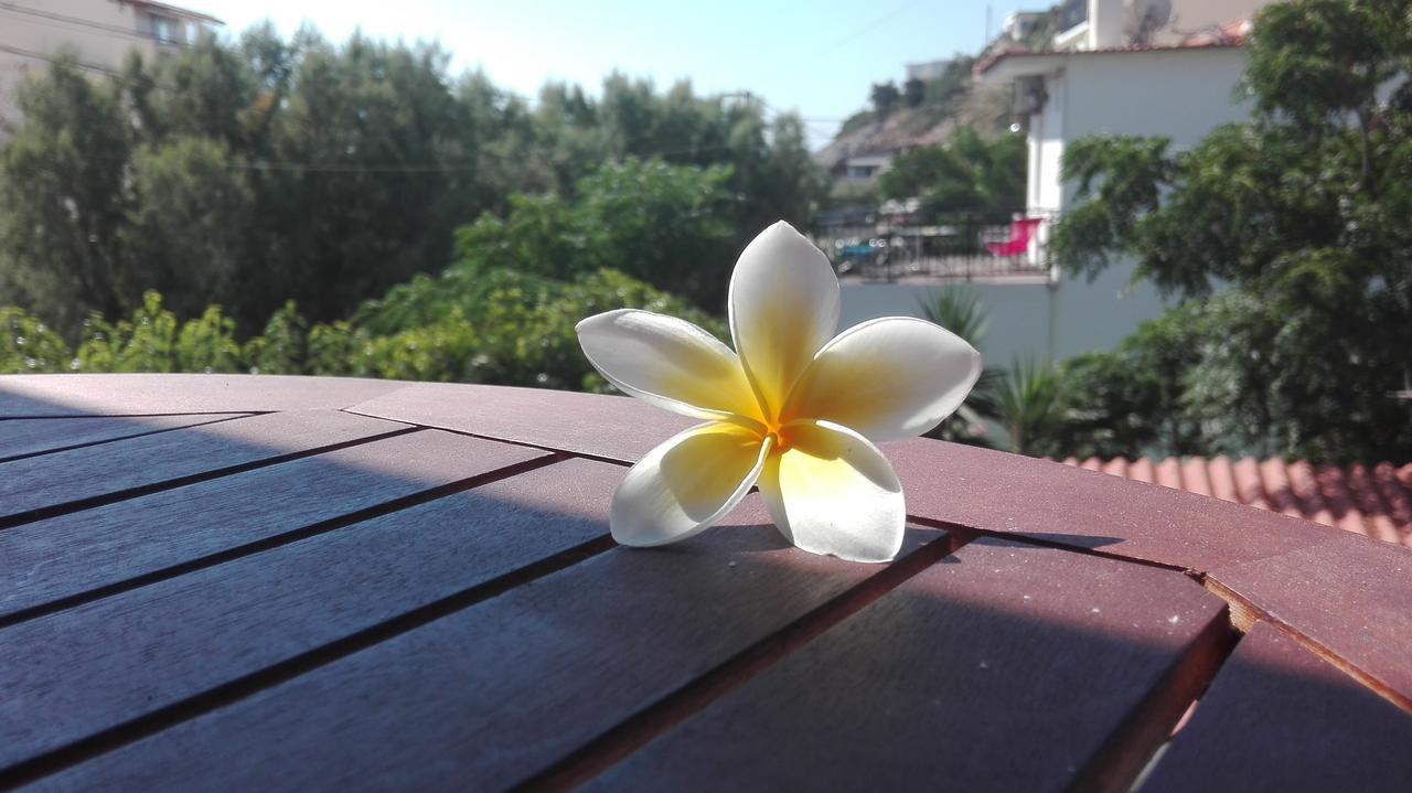 Plumeria Flowery Ágios Kírykos Exterior foto